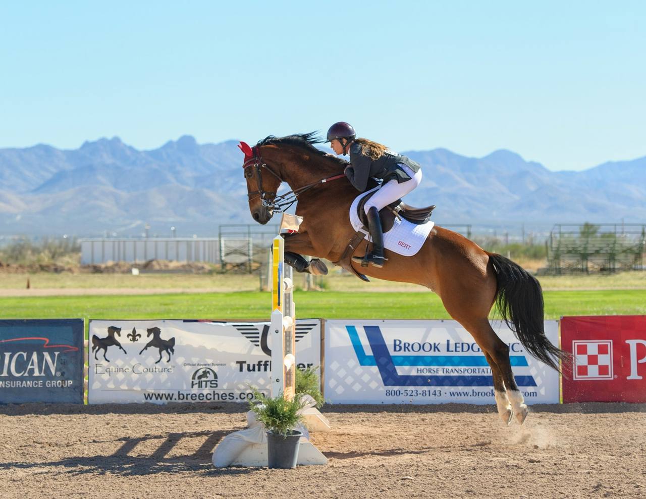 Cavalo saltando obstáculo em prova de salto hípico