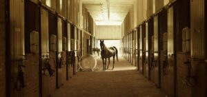 Vermifugação de Cavalos: Quando e Como Fazer Corretamente